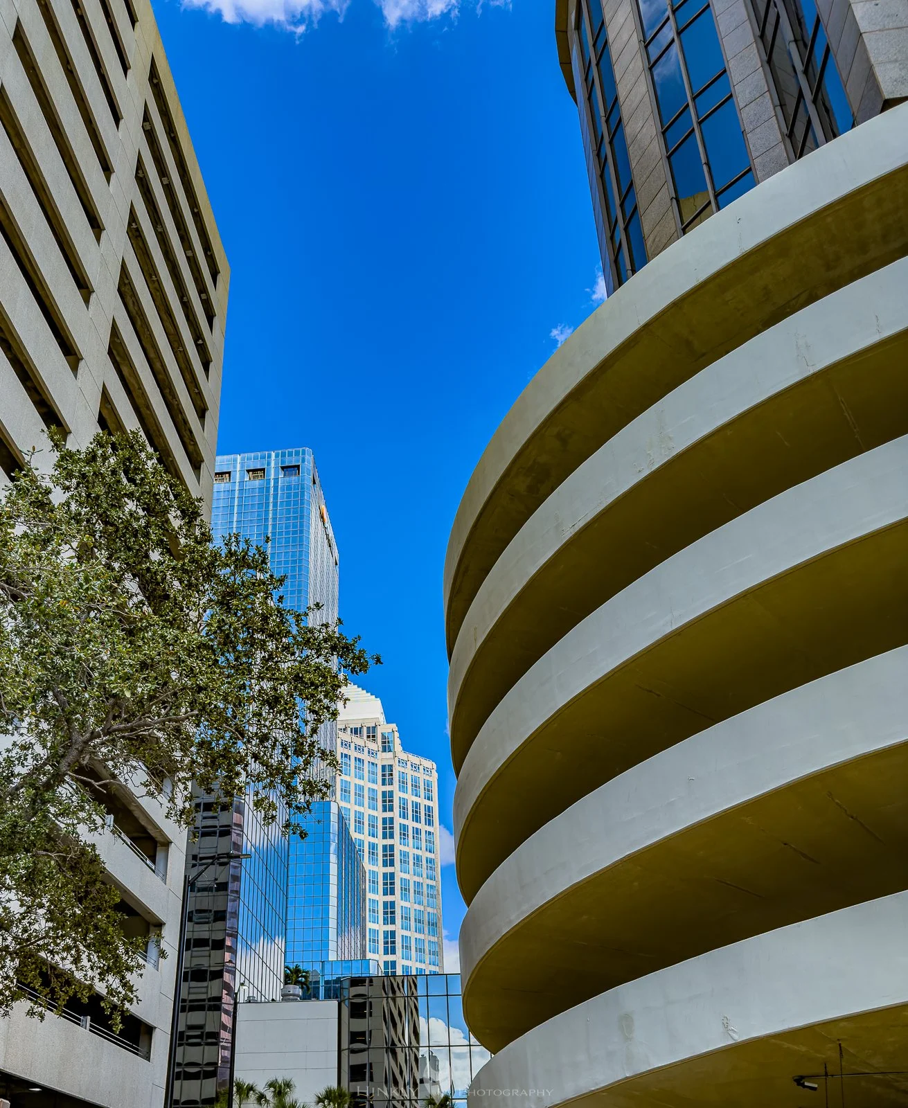 Hinkly_Photography_Tampa-31.jpg
