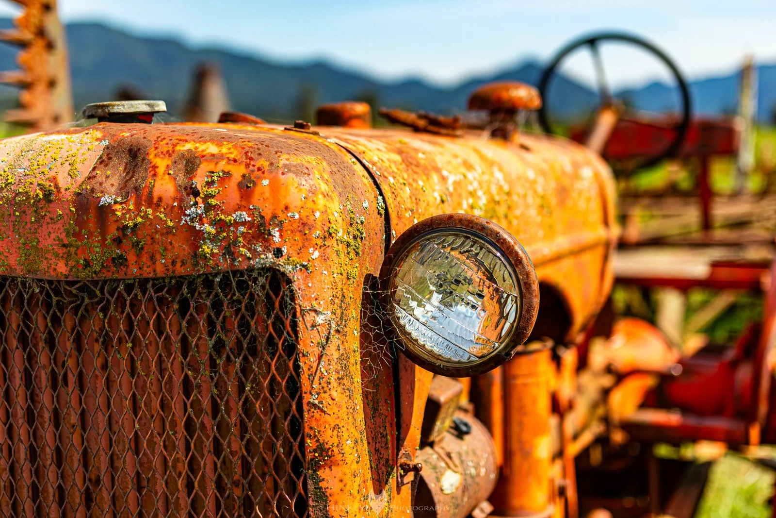 HinklyPhotography_2025_Oregon2022-16.jpg