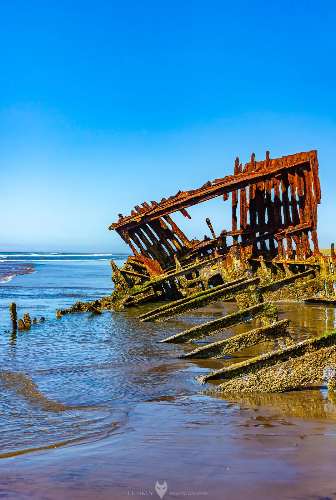 HinklyPhotography_2025_Oregon2022-7.jpg