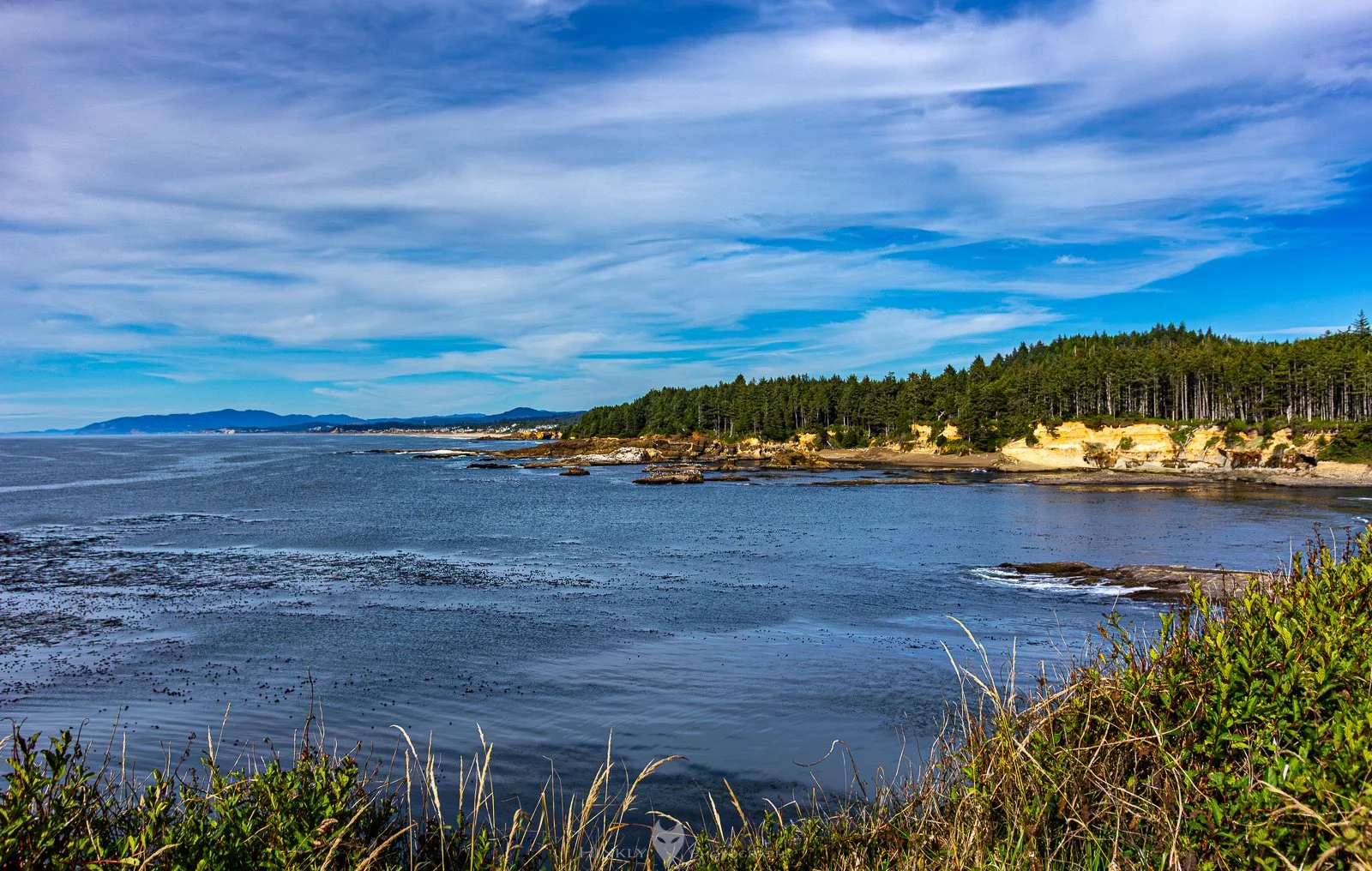 HinklyPhotography_2025_Oregon2022-18.jpg