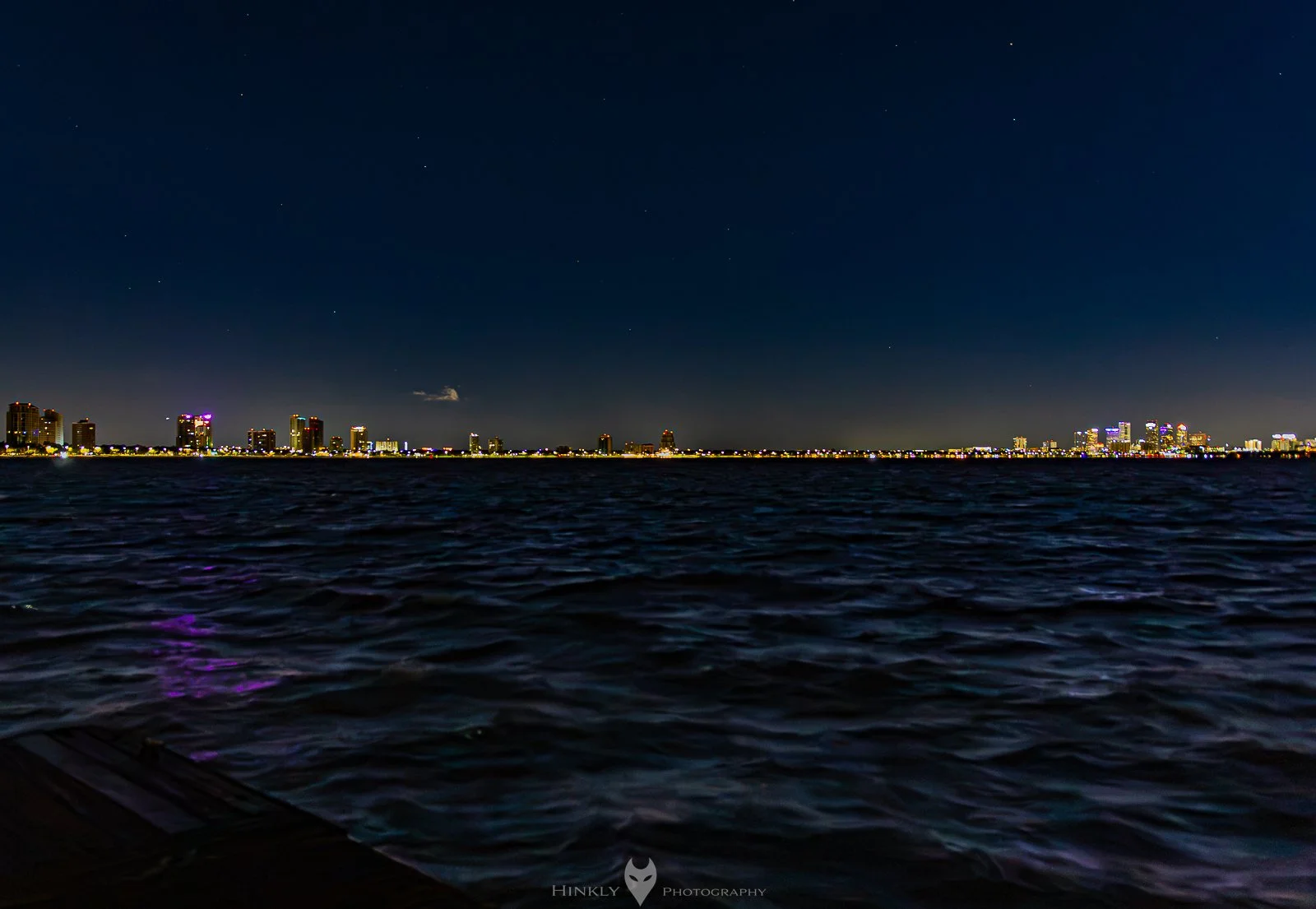 Hinkly_Photography_Tampa-3.jpg