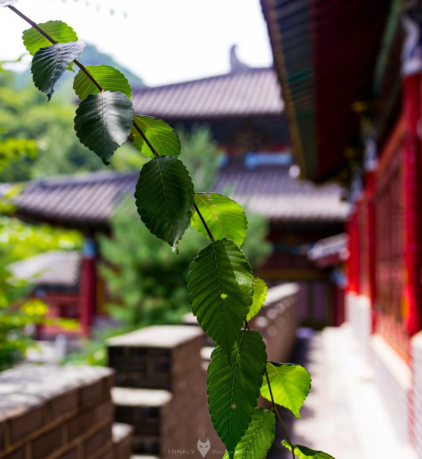 HinklyPhotography_2025_IG-1.jpg
