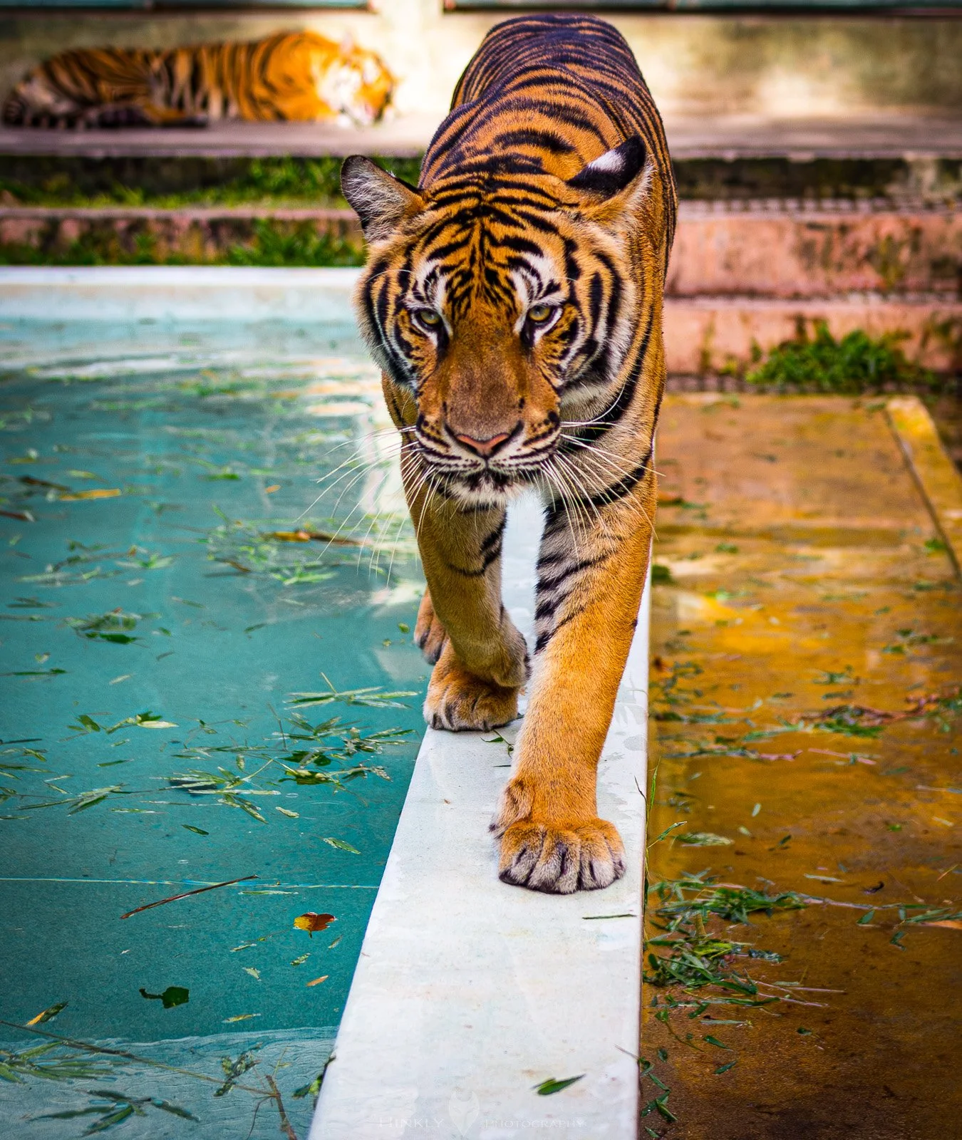 HinklyPhotography_2025_Thailand-5.jpg