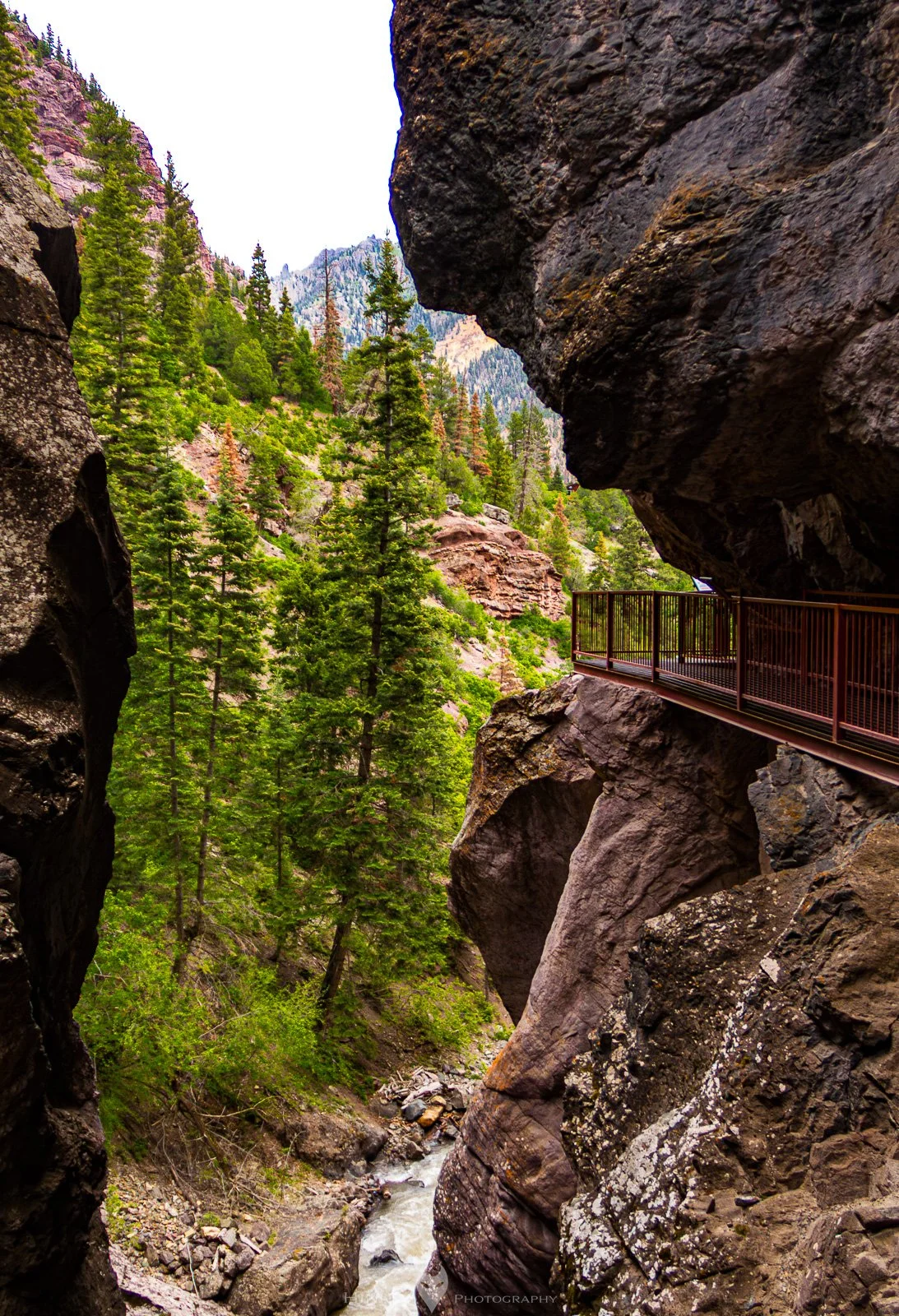 HinklyPhotography_2025_IG-4.jpg
