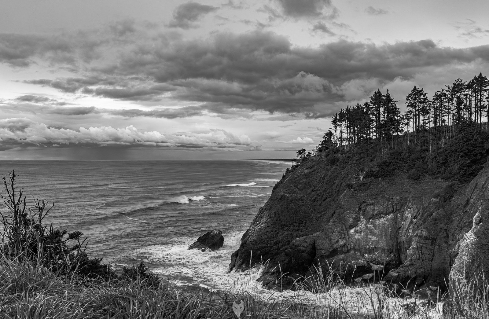 HinklyPhotography_2025_Oregon2019-28.jpg