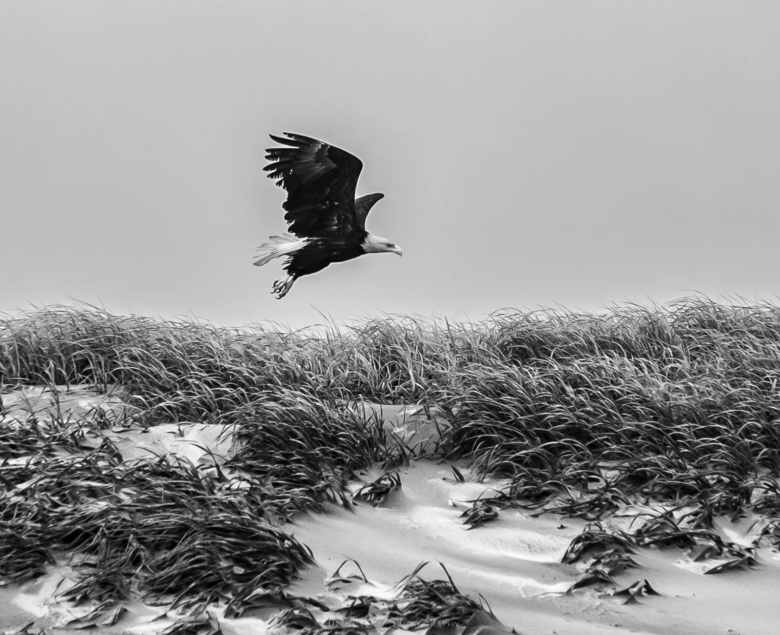 HinklyPhotography_2025_Oregon2022-6.jpg