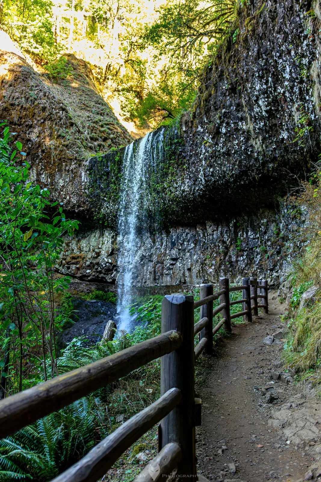HinklyPhotography_2025_Oregon2022-27.jpg