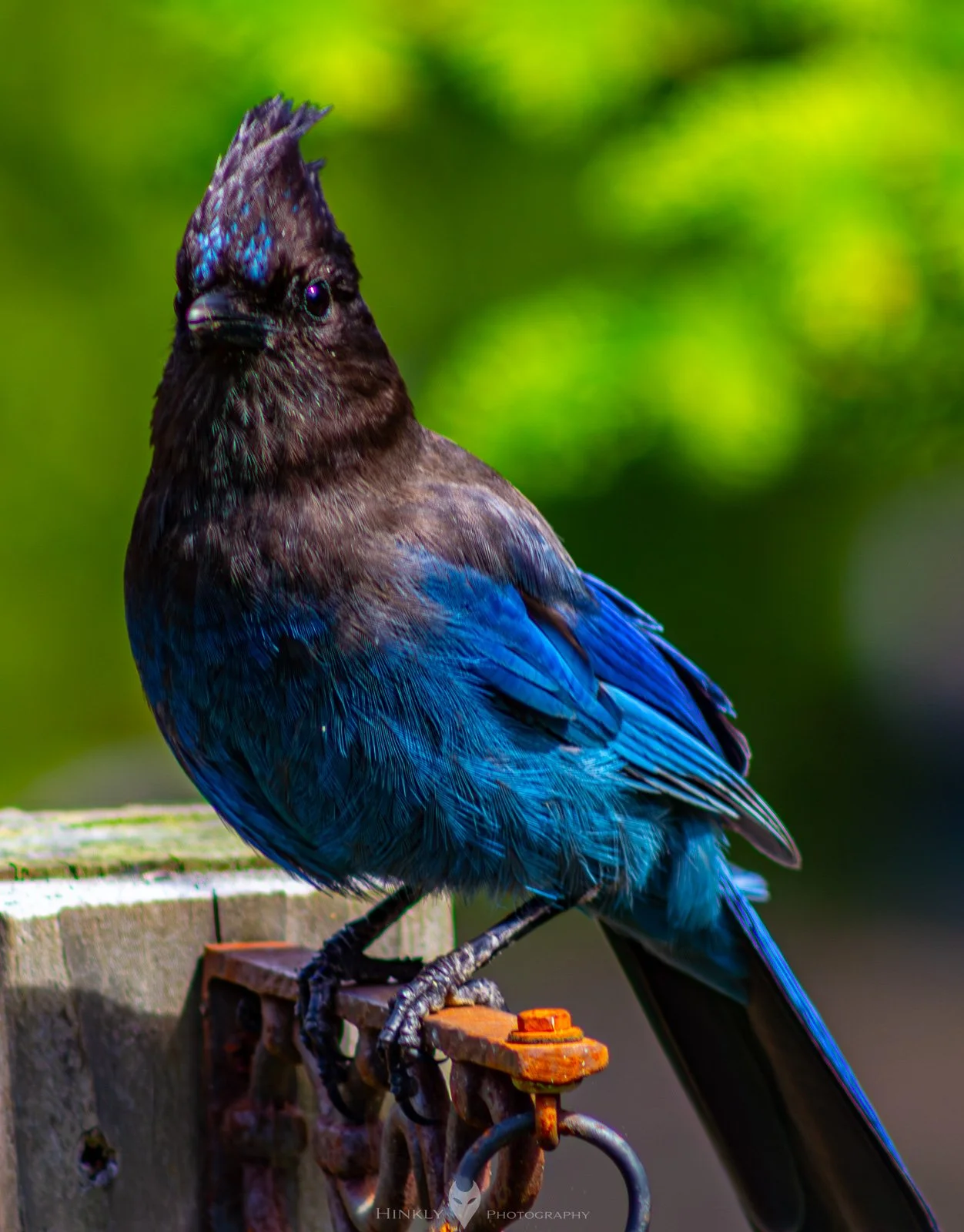 HinklyPhotography_2025_Oregon2022-35.jpg