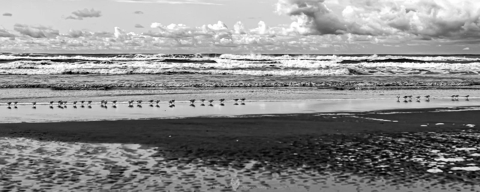 HinklyPhotography_2025_Oregon2019-31.jpg