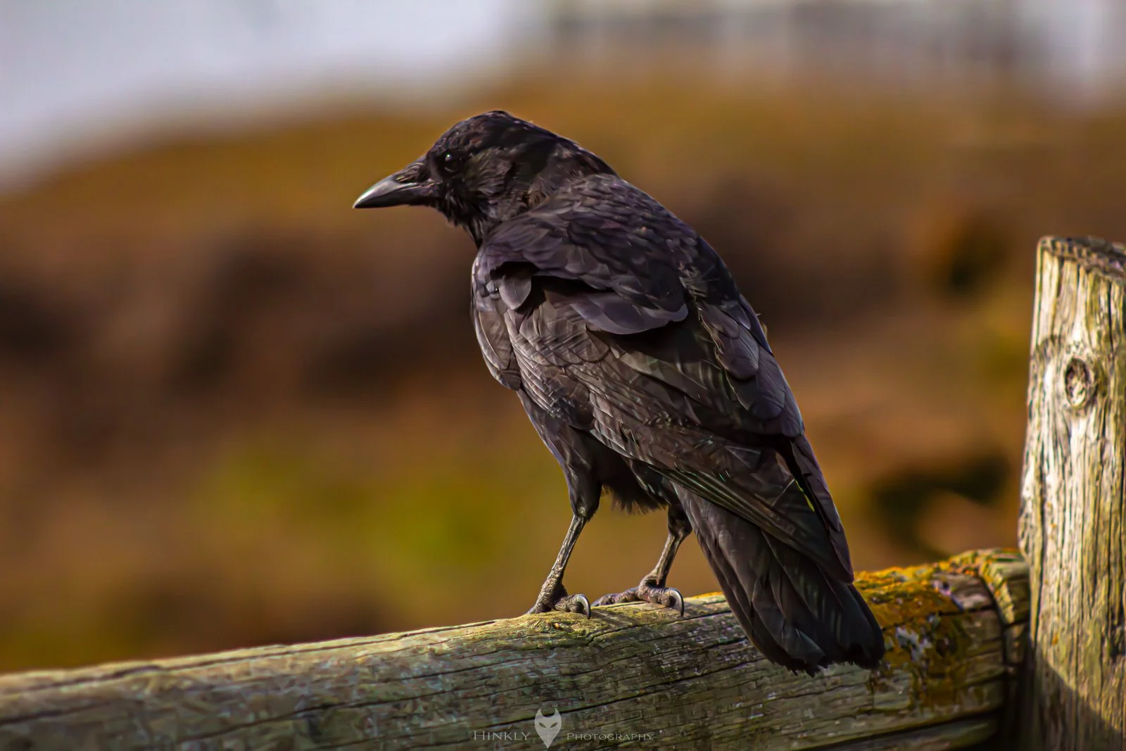 HinklyPhotography_2025_Oregon2022-19.jpg