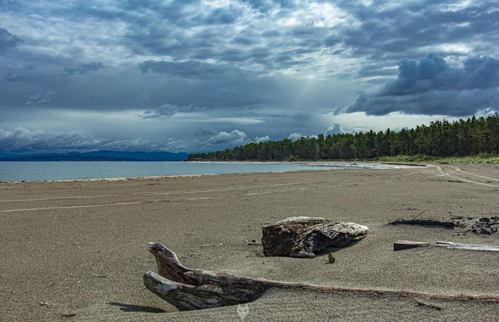 HinklyPhotography_2025_Oregon2019-5.jpg
