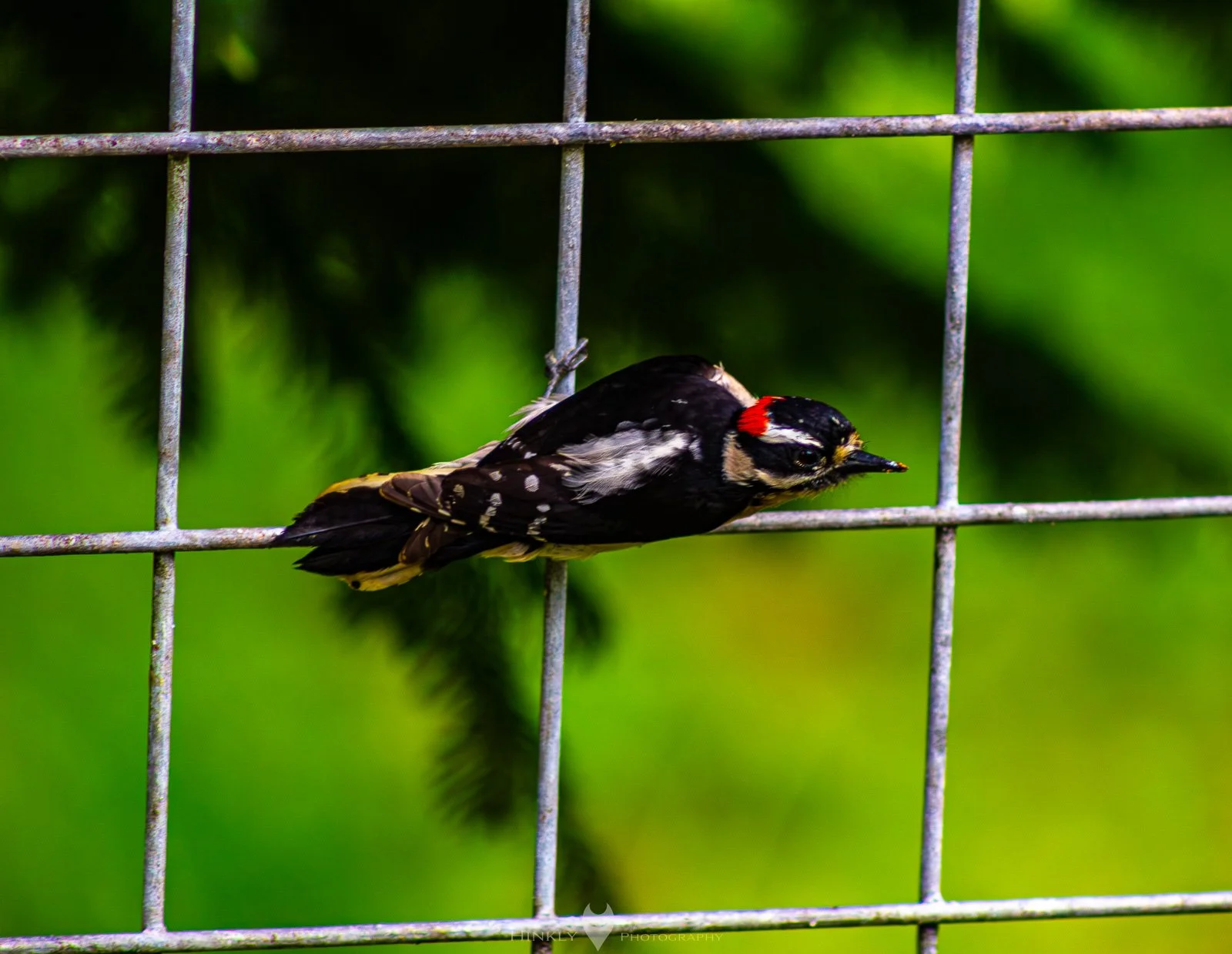 HinklyPhotography_2025_Oregon2022-25.jpg