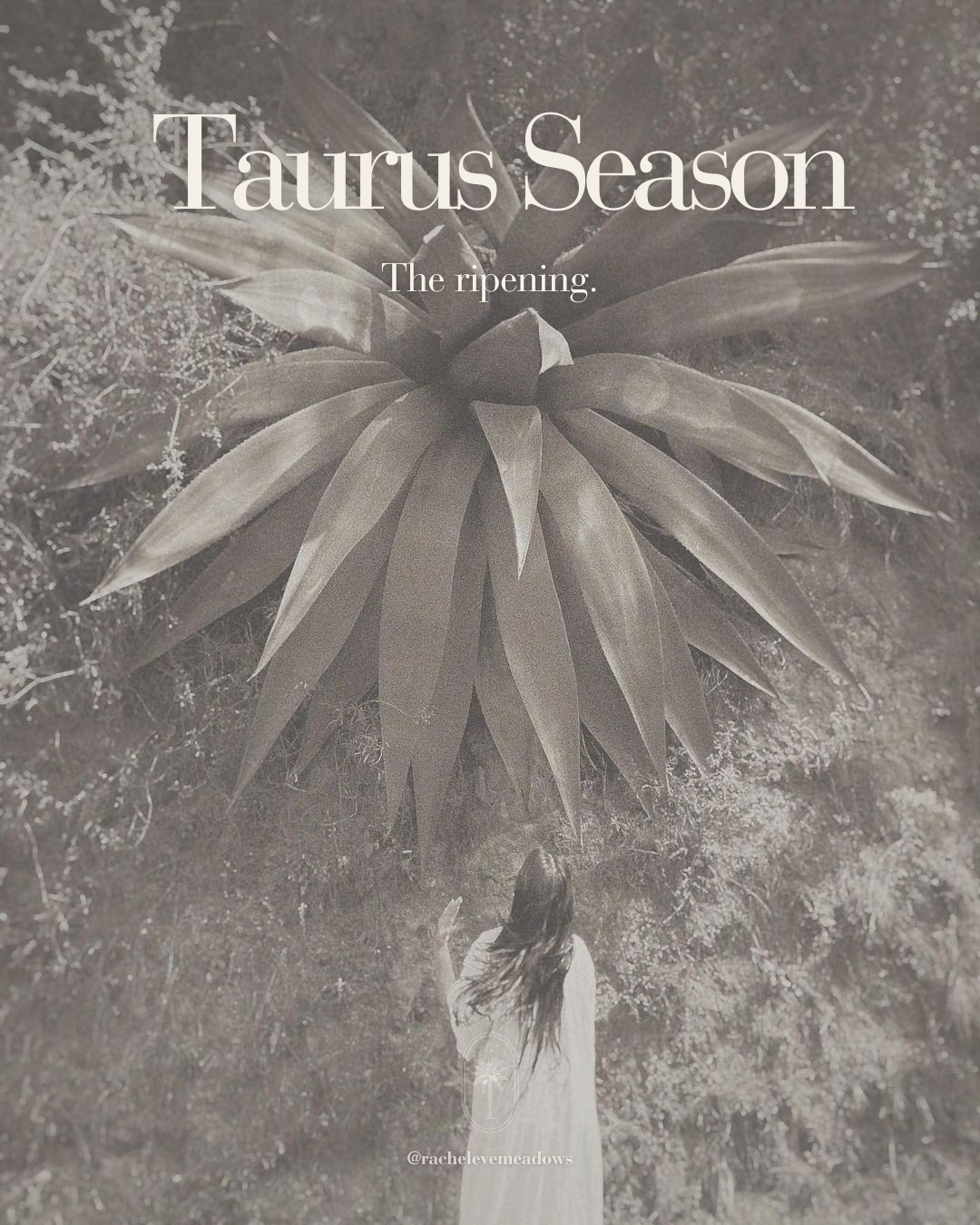 Taurus Season