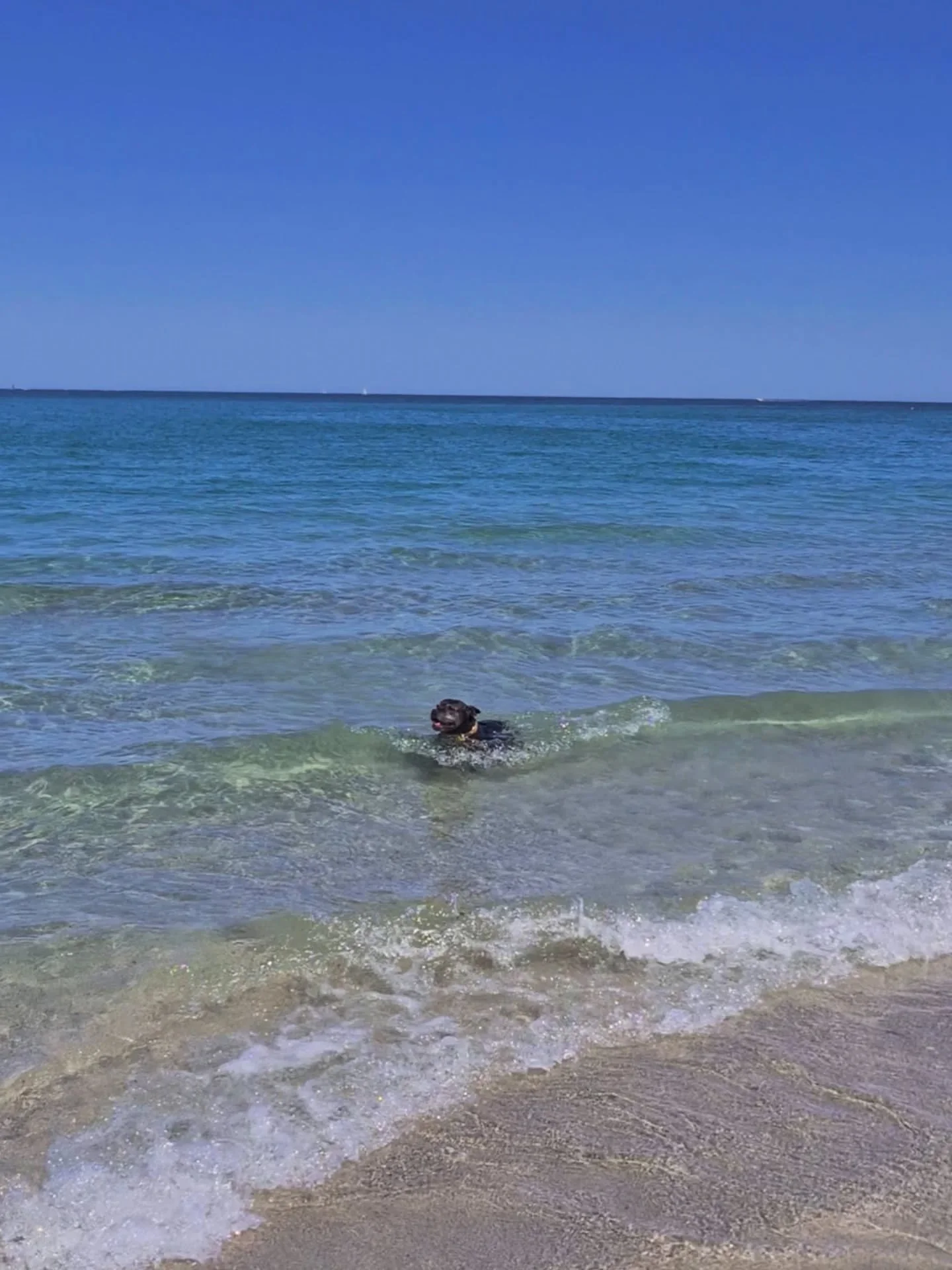 Our girl, Theodora Scallywag Hughes (or Dora for short 😂)