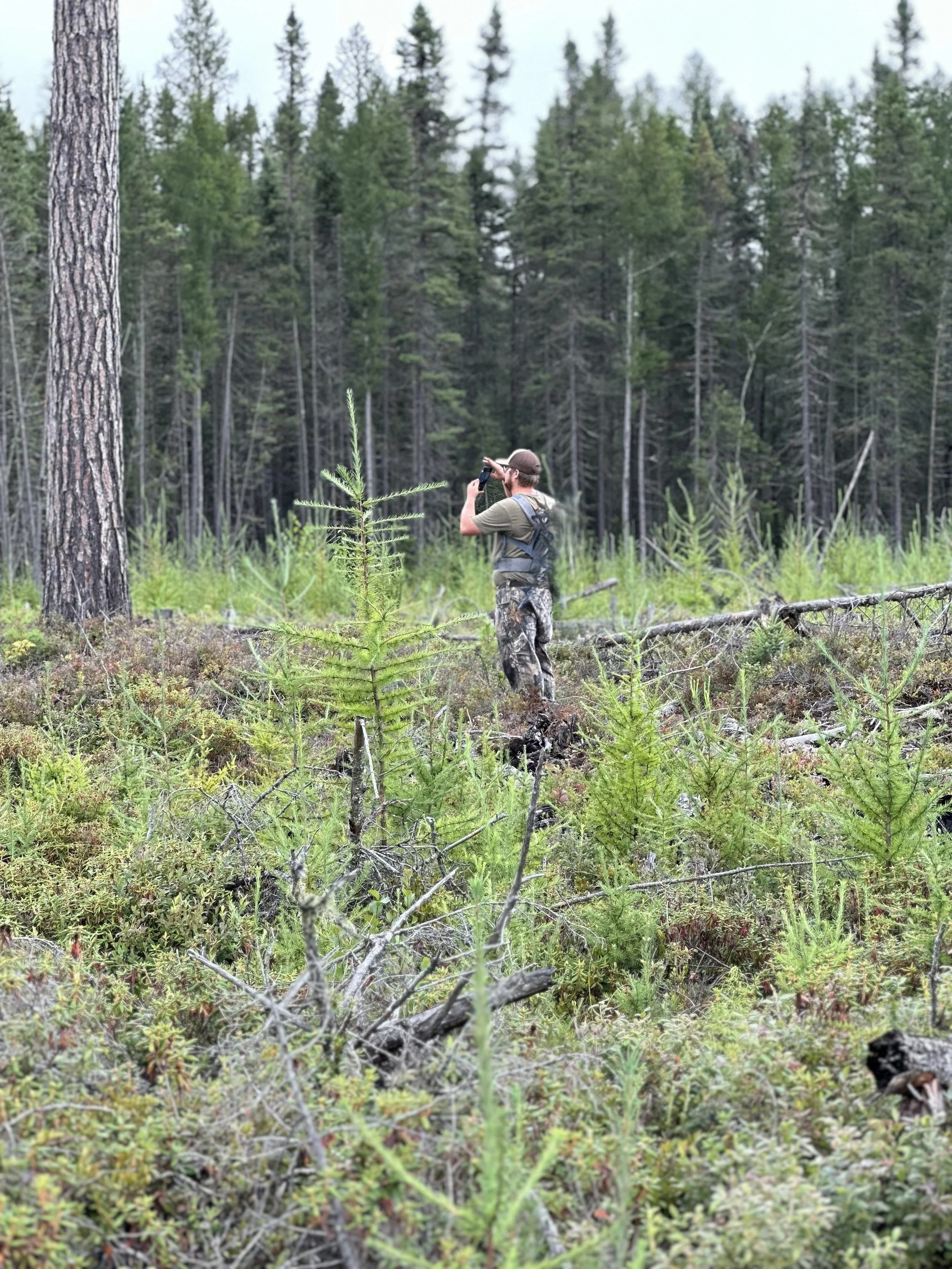 Field-based wildlife observation used for ethical hunt planning and habitat evaluation in Michigan.