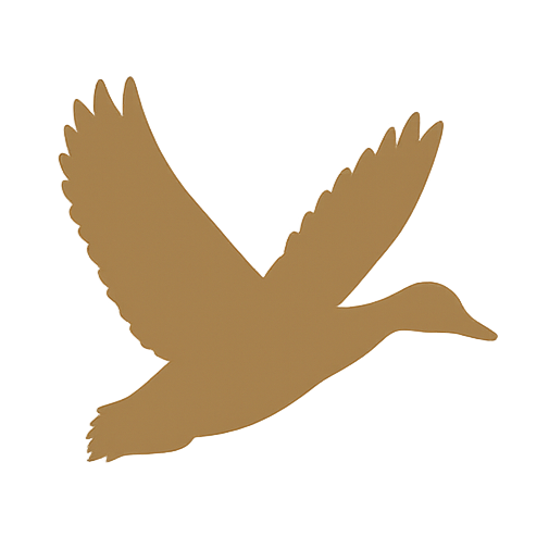 Silhouette of a flying duck with outstretched wings against a black background.