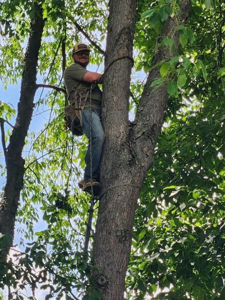 Field Notes: Sitting on Sign vs. Understanding Movement