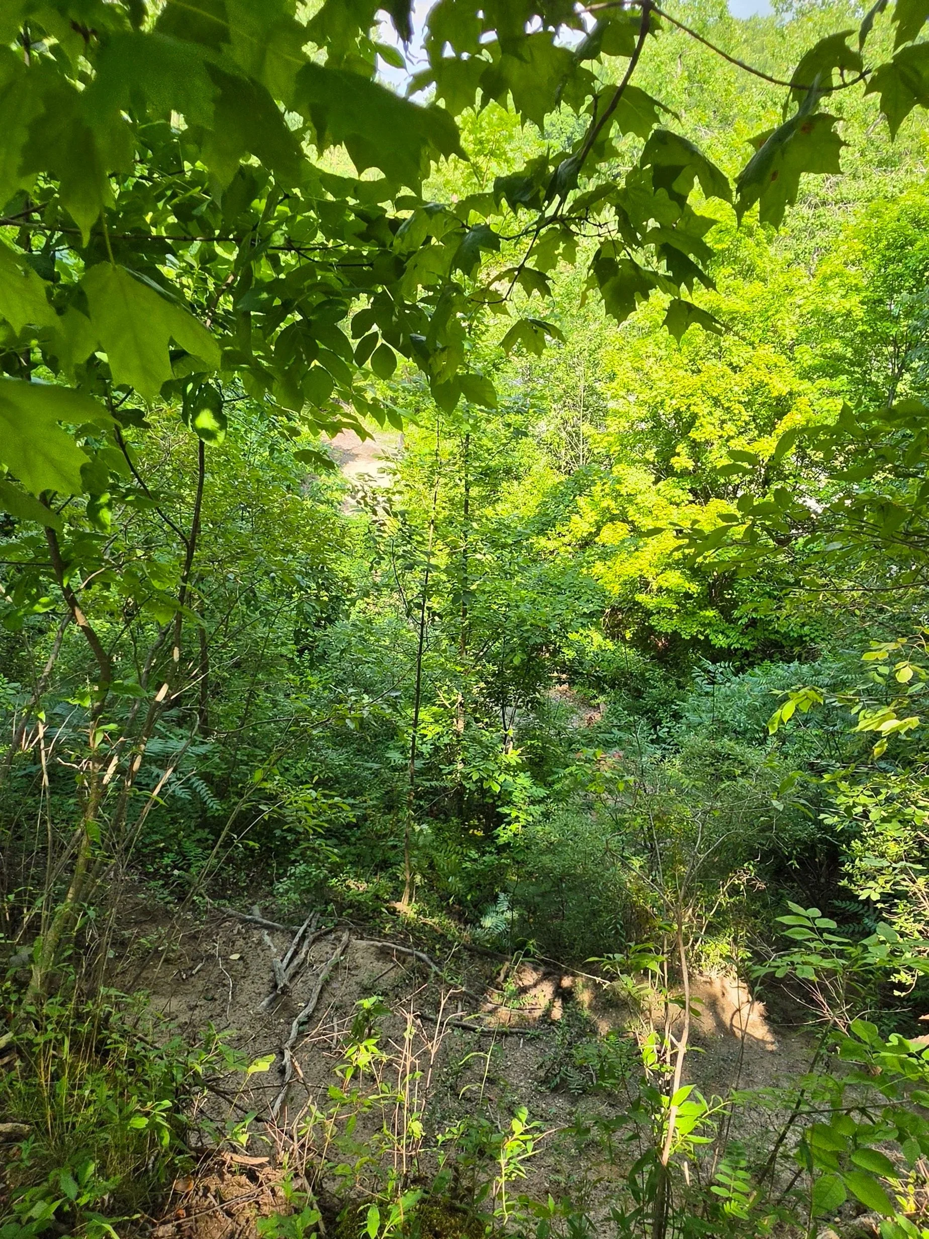 20260808_114234.jpg