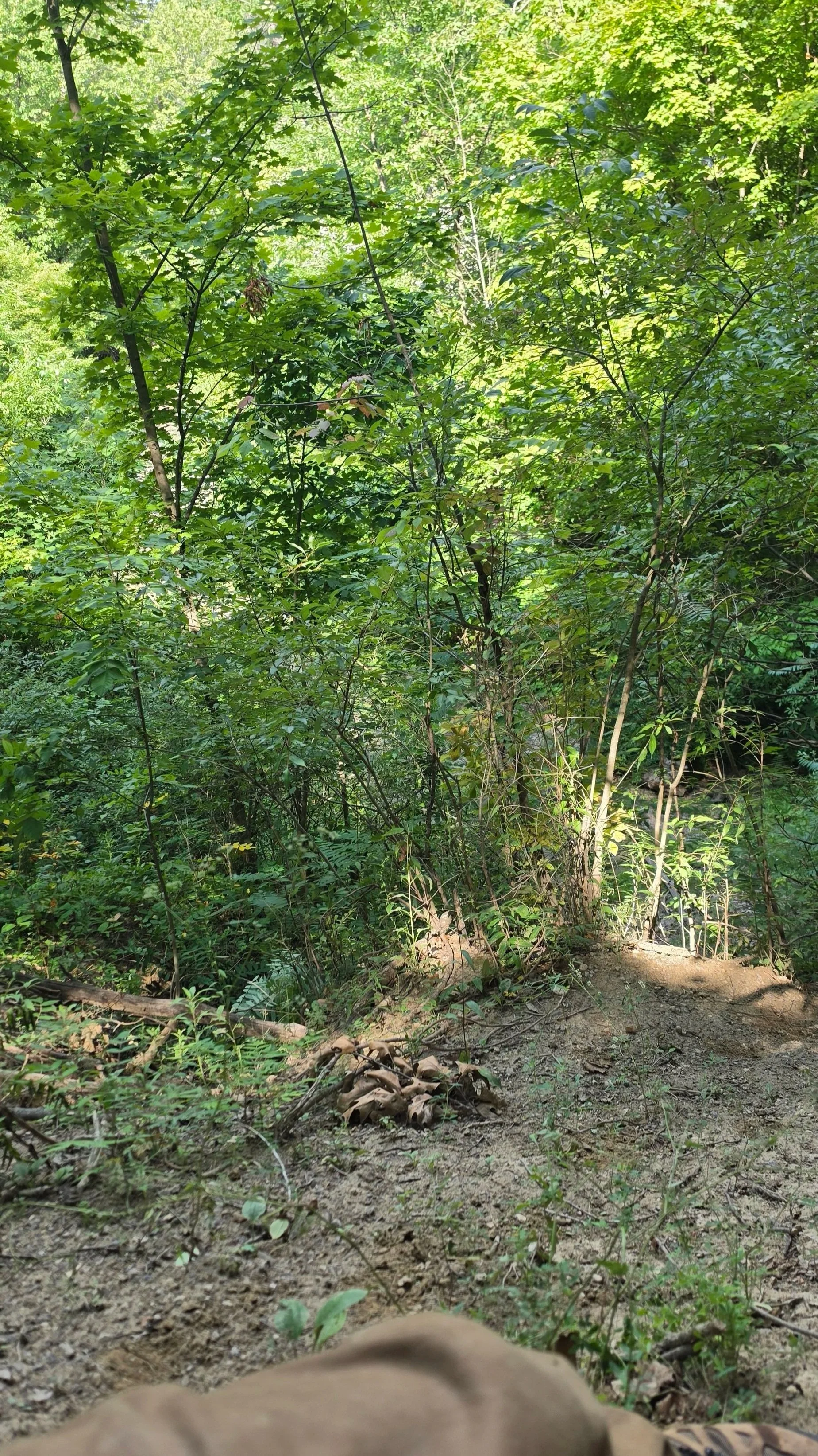 20260808_113823.jpg