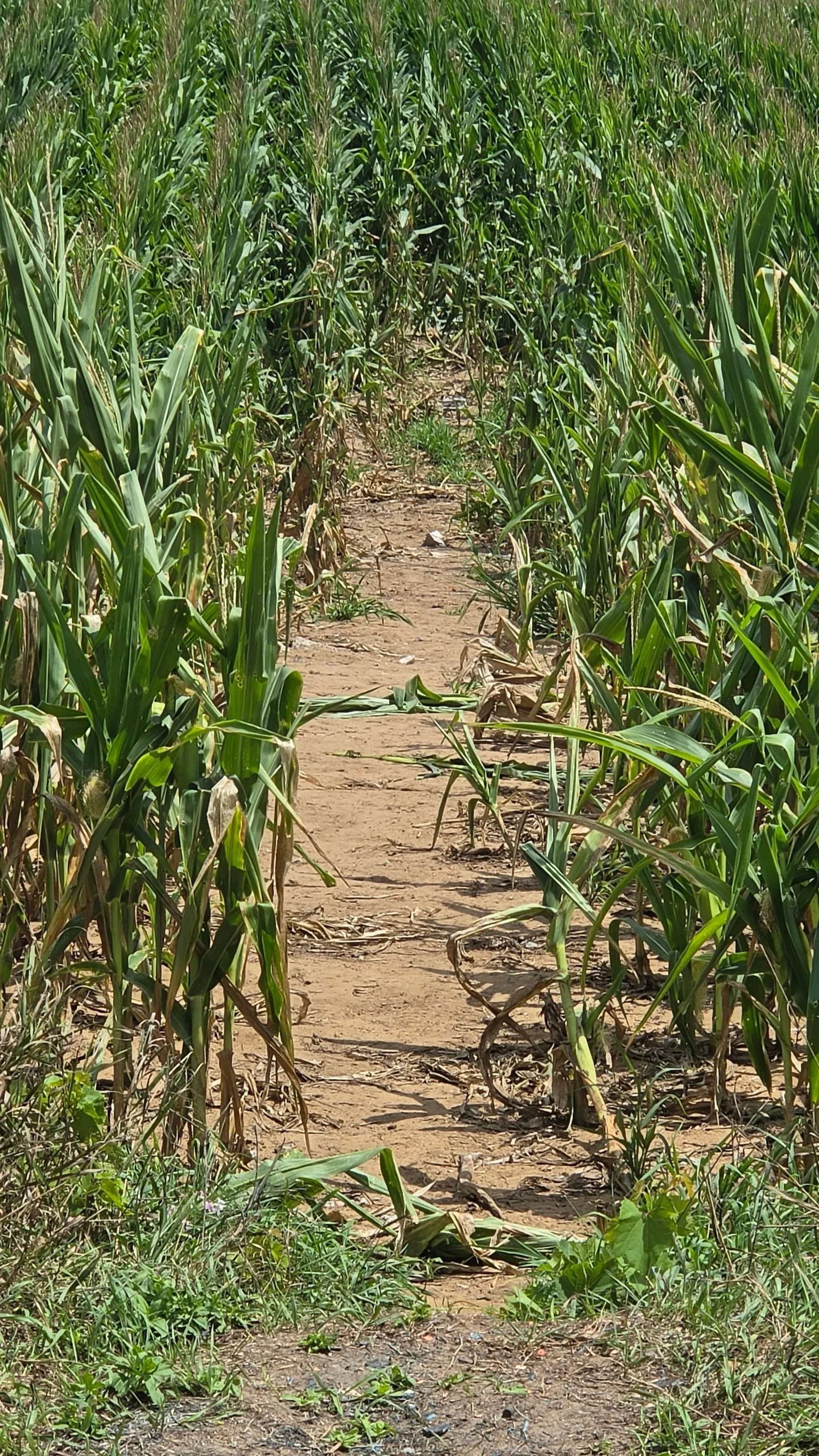 20260808_135125.jpg