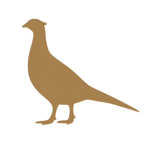 A stylized illustration of a pheasant with a long beak and a tan body.