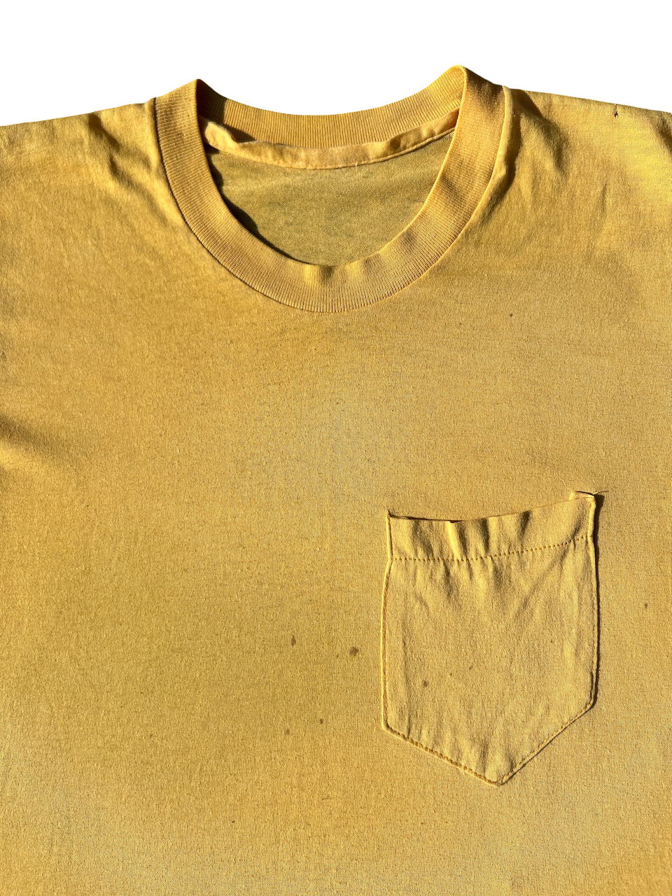 IMG_7025.png