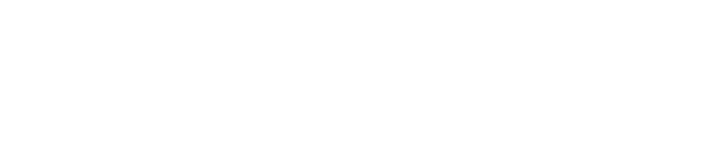 Renaissance Social Services