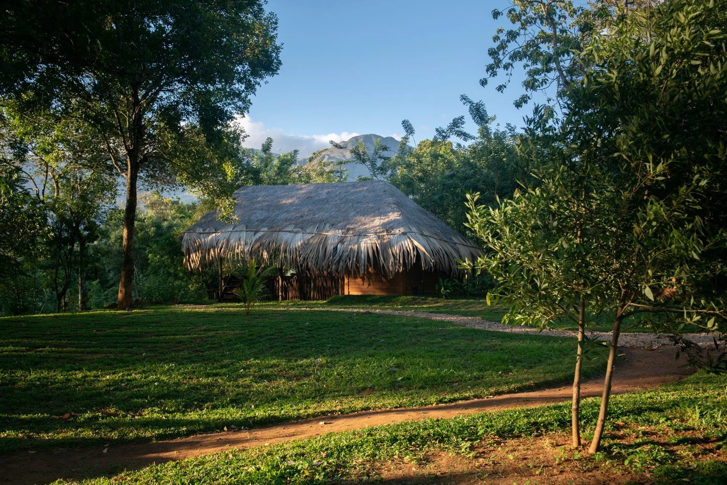 A secluded forest retreat by the river