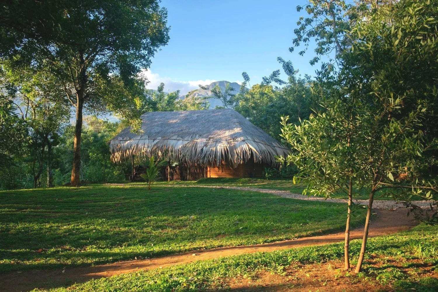 A secluded forest retreat by the river