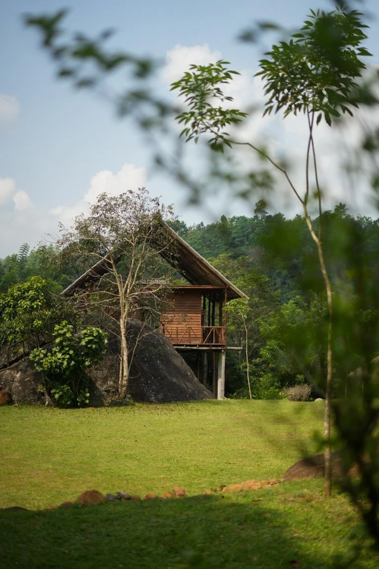 Tree house forest retreat venue Sri Lanka