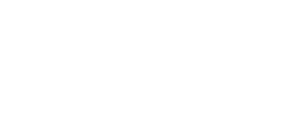 Vispec Group