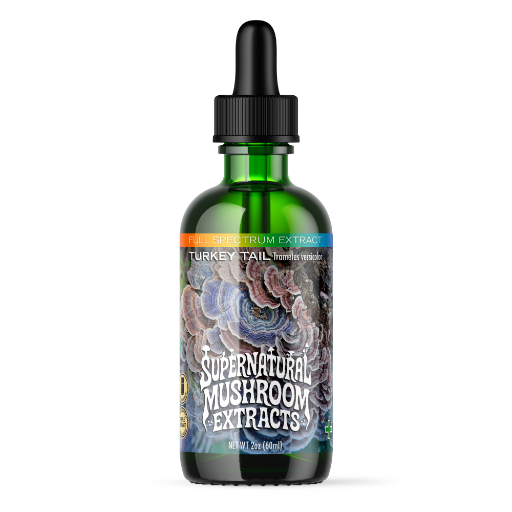 Turkey Tail Extract