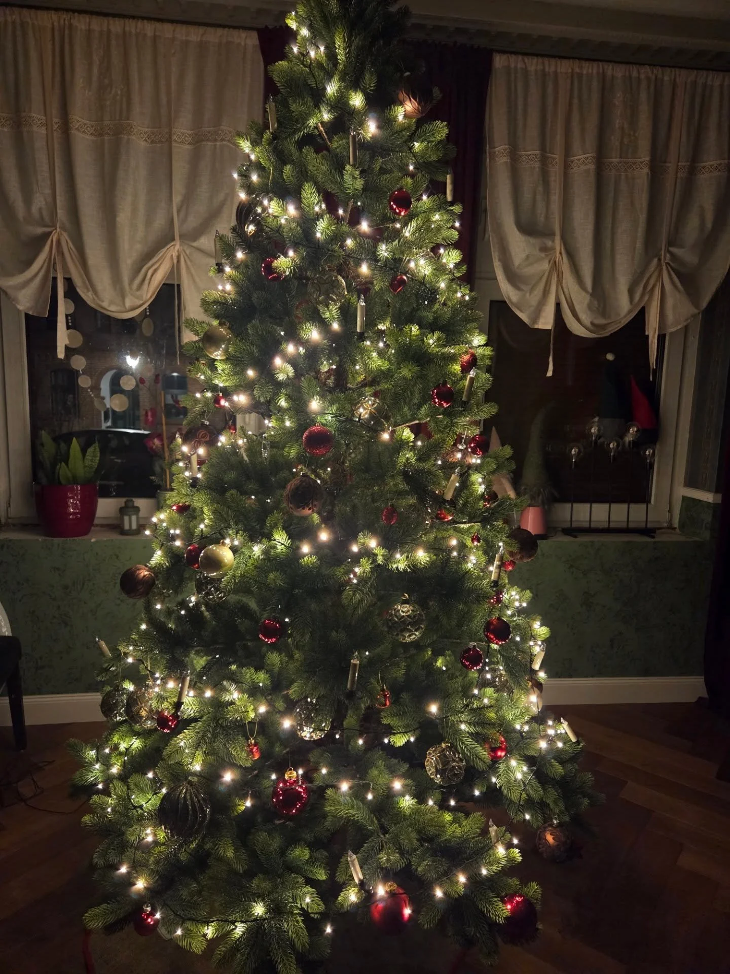 Happy Holidays ihr M&auml;use 🎄✨️ 

Ich w&uuml;nsche euch guten Wein, einen sch&ouml;nen Weihnachtsbaum (oder eine Weihnachtspalme) und viel Sonne. 

💋