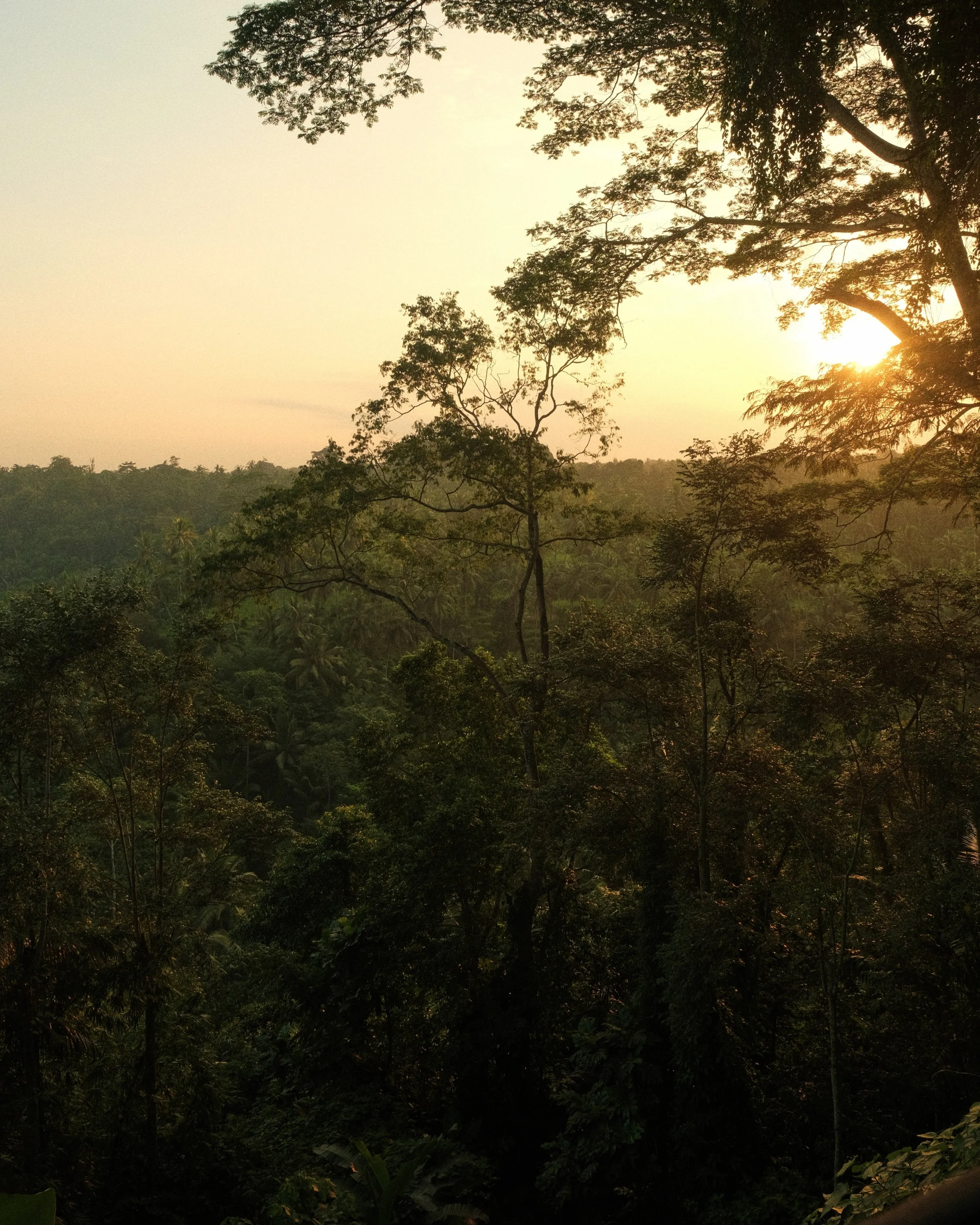 Nicholas V Photography - The Sayan House Bali 2.jpg