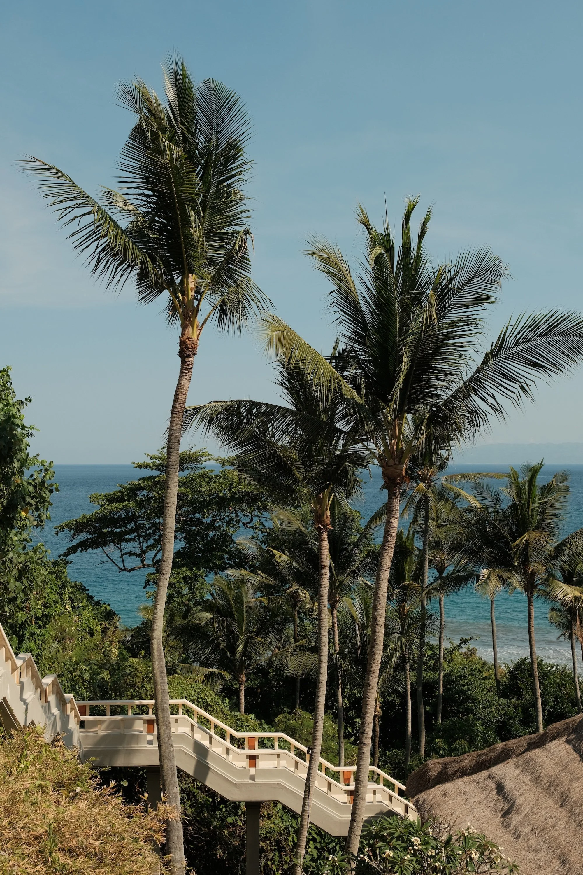 Aman Resorts - Nicholas V. 5.jpg