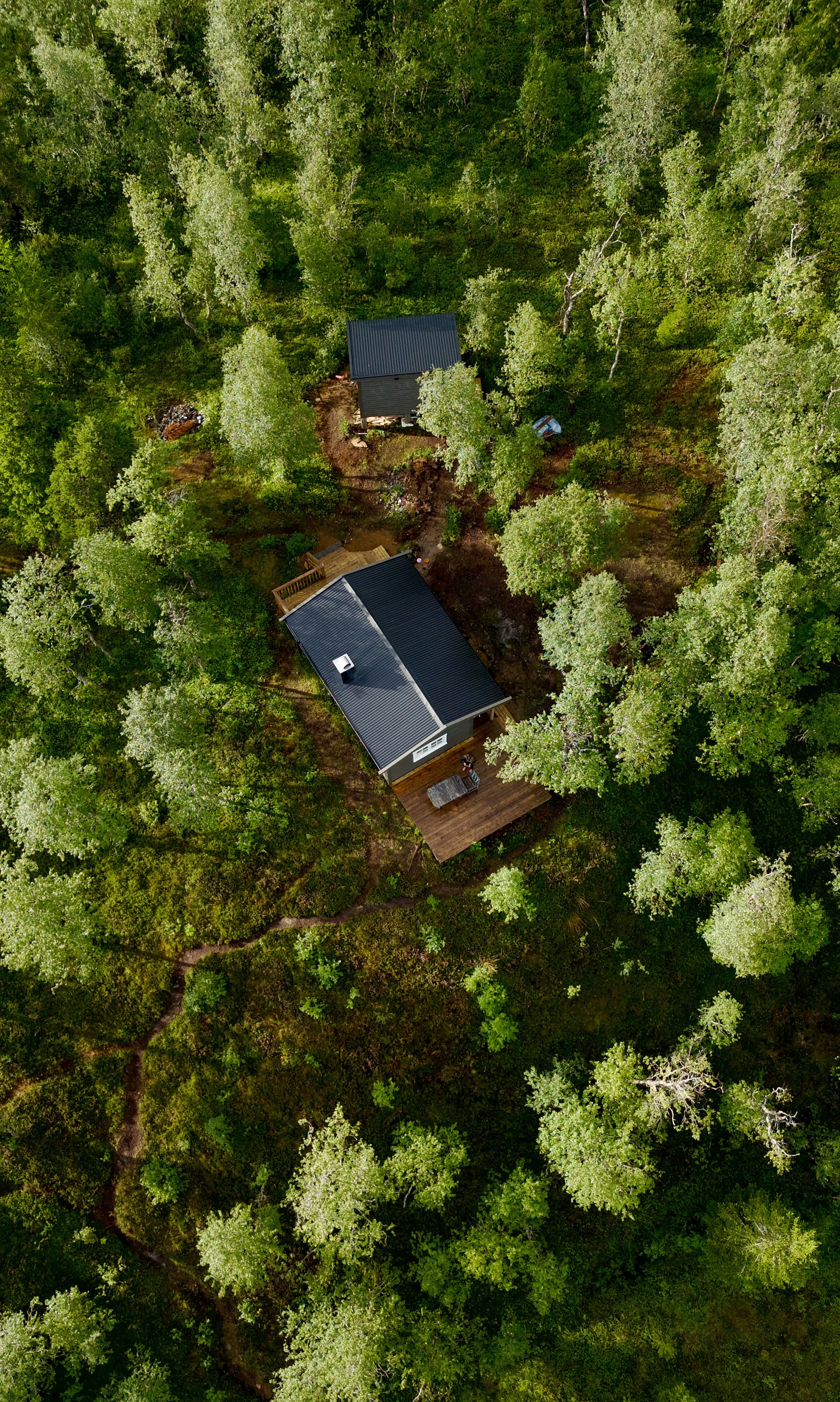 Aerial view of a home and a shed surrounded by dense green trees in a forested area.
