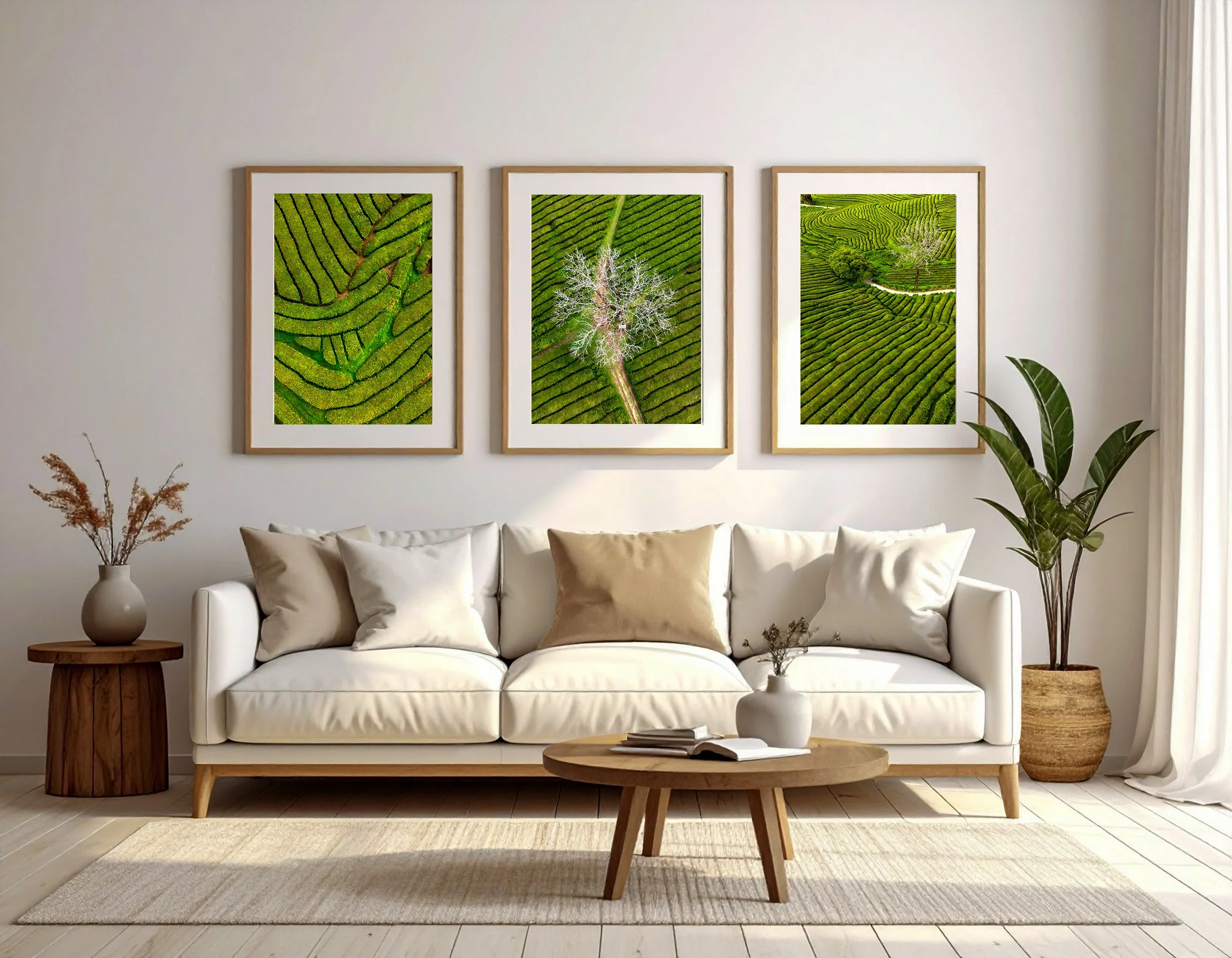 Tea fields_landscape.jpg (Copy)