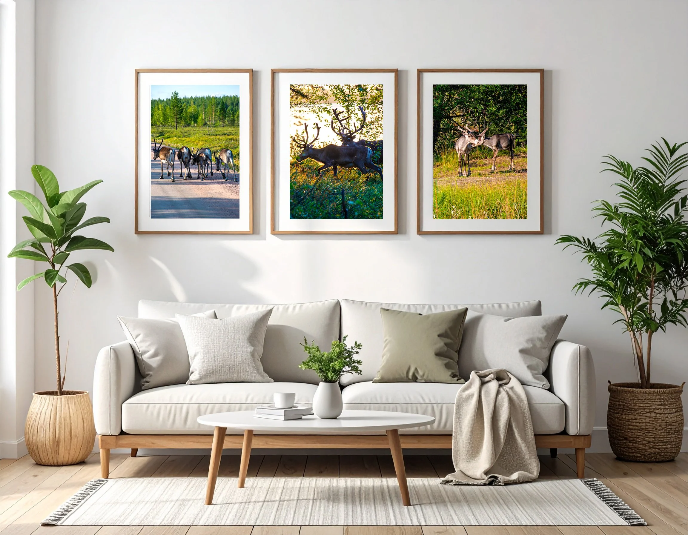 Living room three frames_reindeers.jpg