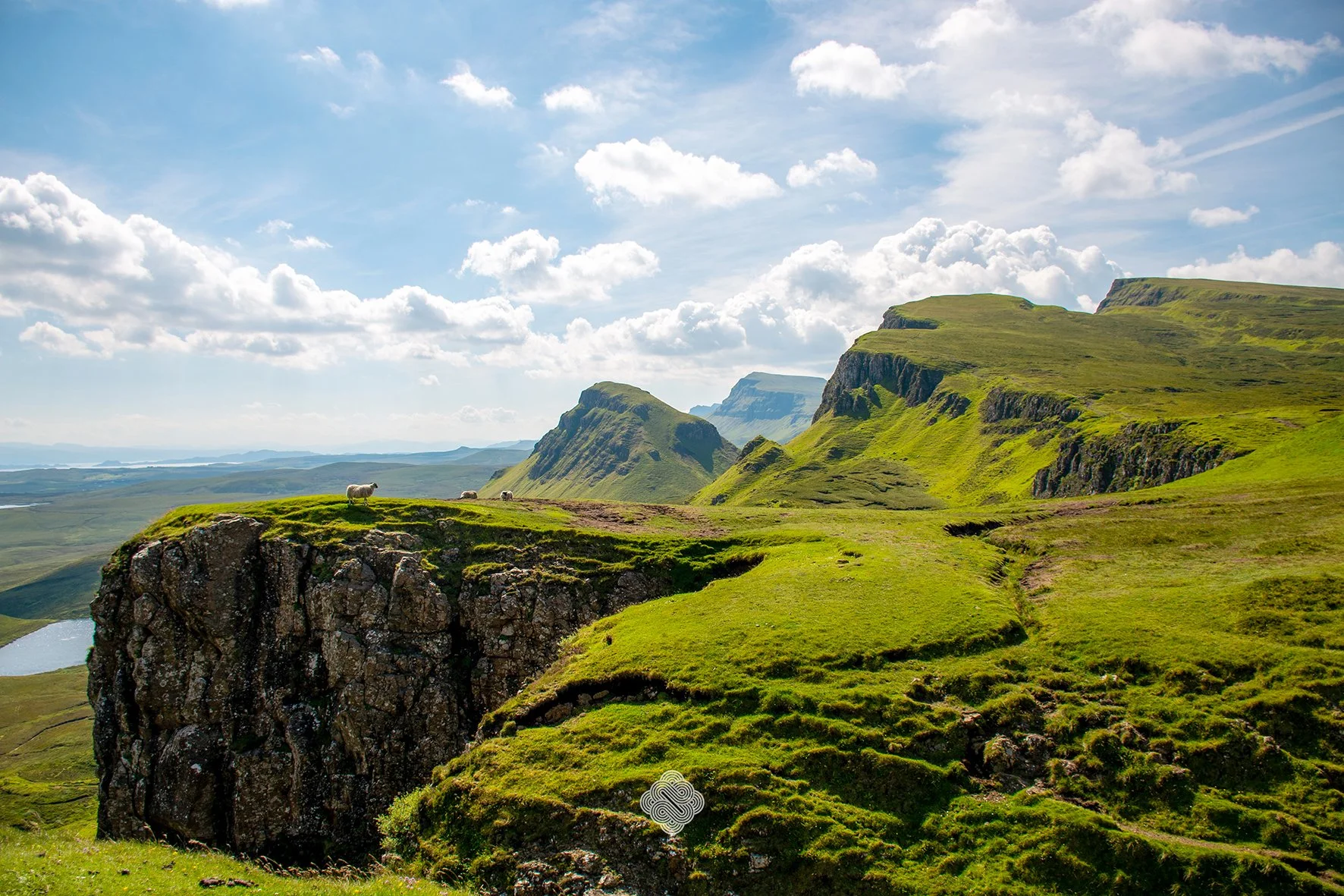 Sheep in Scotland watermark.jpg