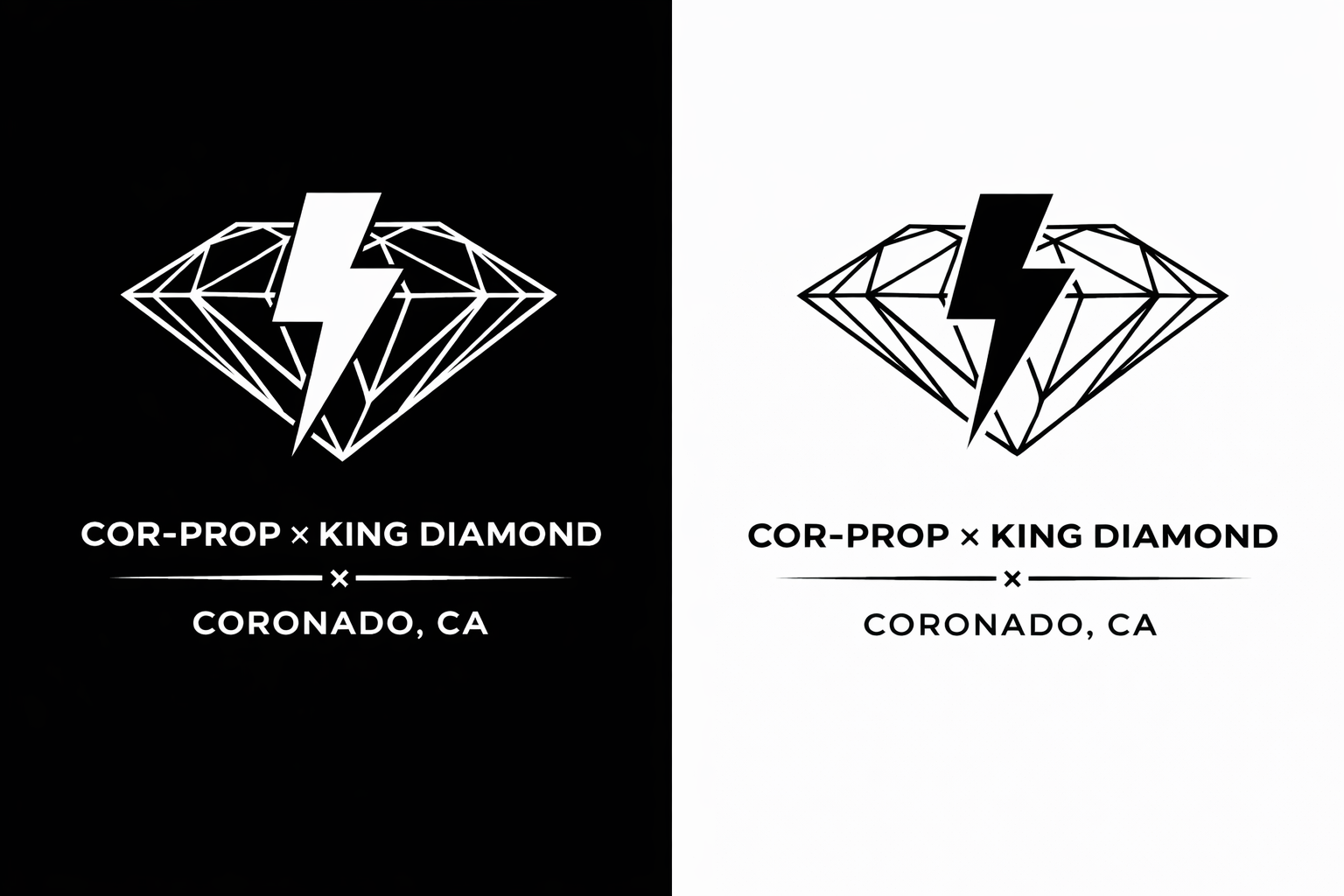 Diamond + Bolt (white on black Filled & Black on white Filled).PNG.PNG