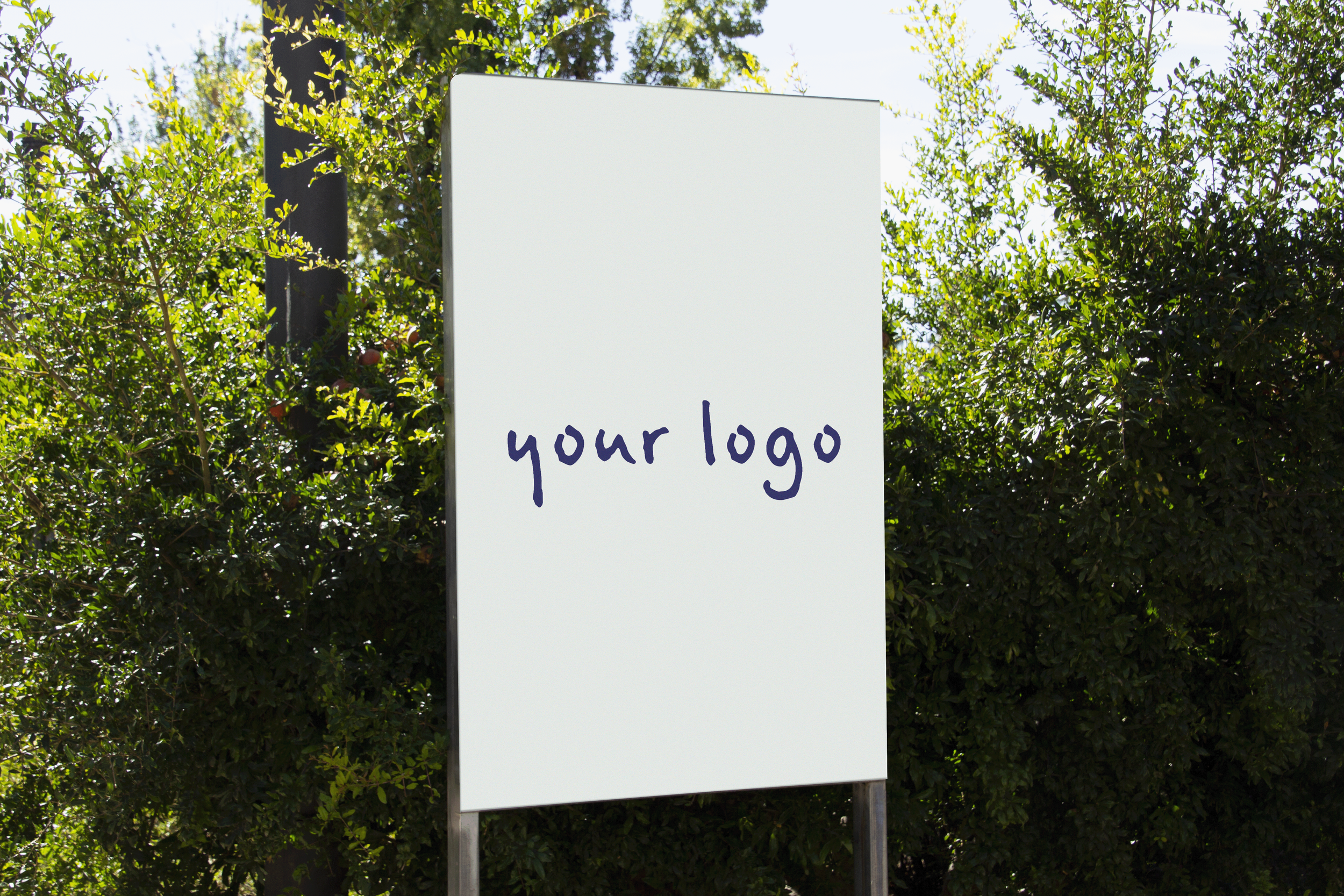 Brand Identity Design
