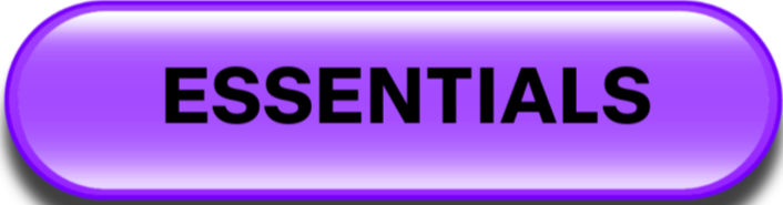 Purple oval sign with black text that says 'ESSENTIALS'.