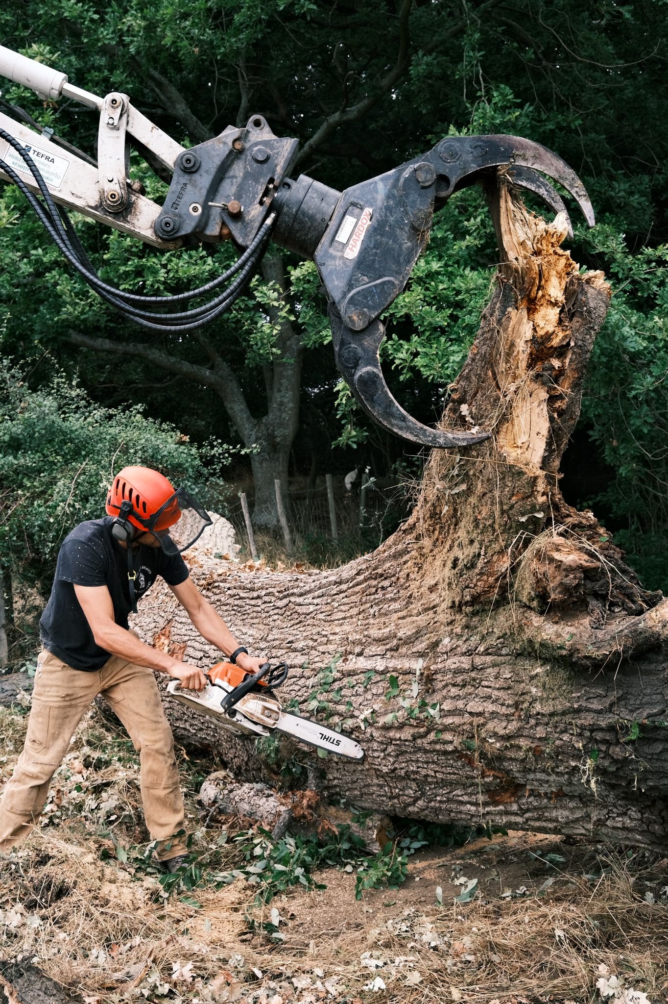 A person wearing a black t-shirt, khaki pants, orange helmet, and face shield is cutting a fallen tree trunk with a chainsaw in a forested area. A large mechanical arm with a claw is lifting the tree trunk.