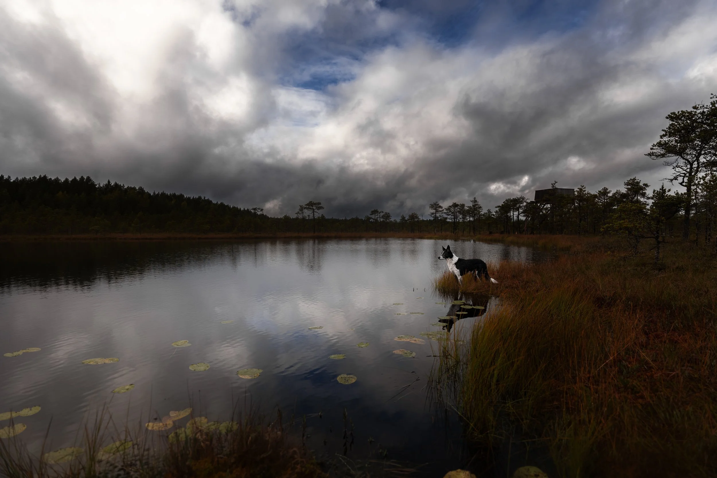 DSC06684-Edit.jpg