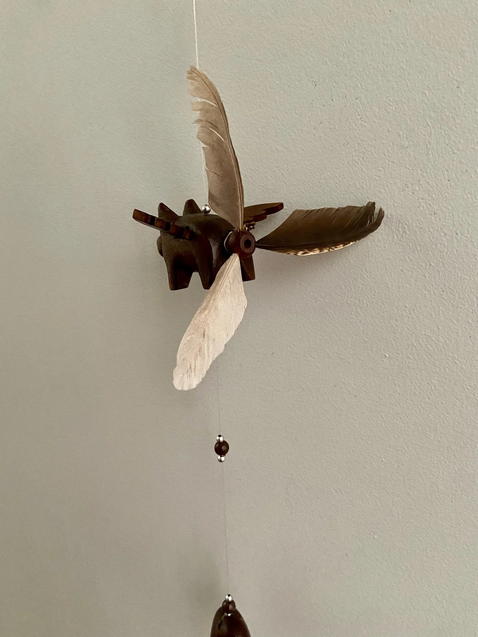 IMG_0414.jpeg