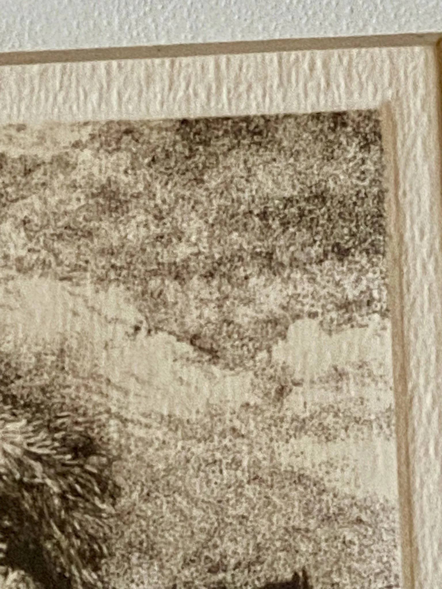 IMG_0796.jpeg