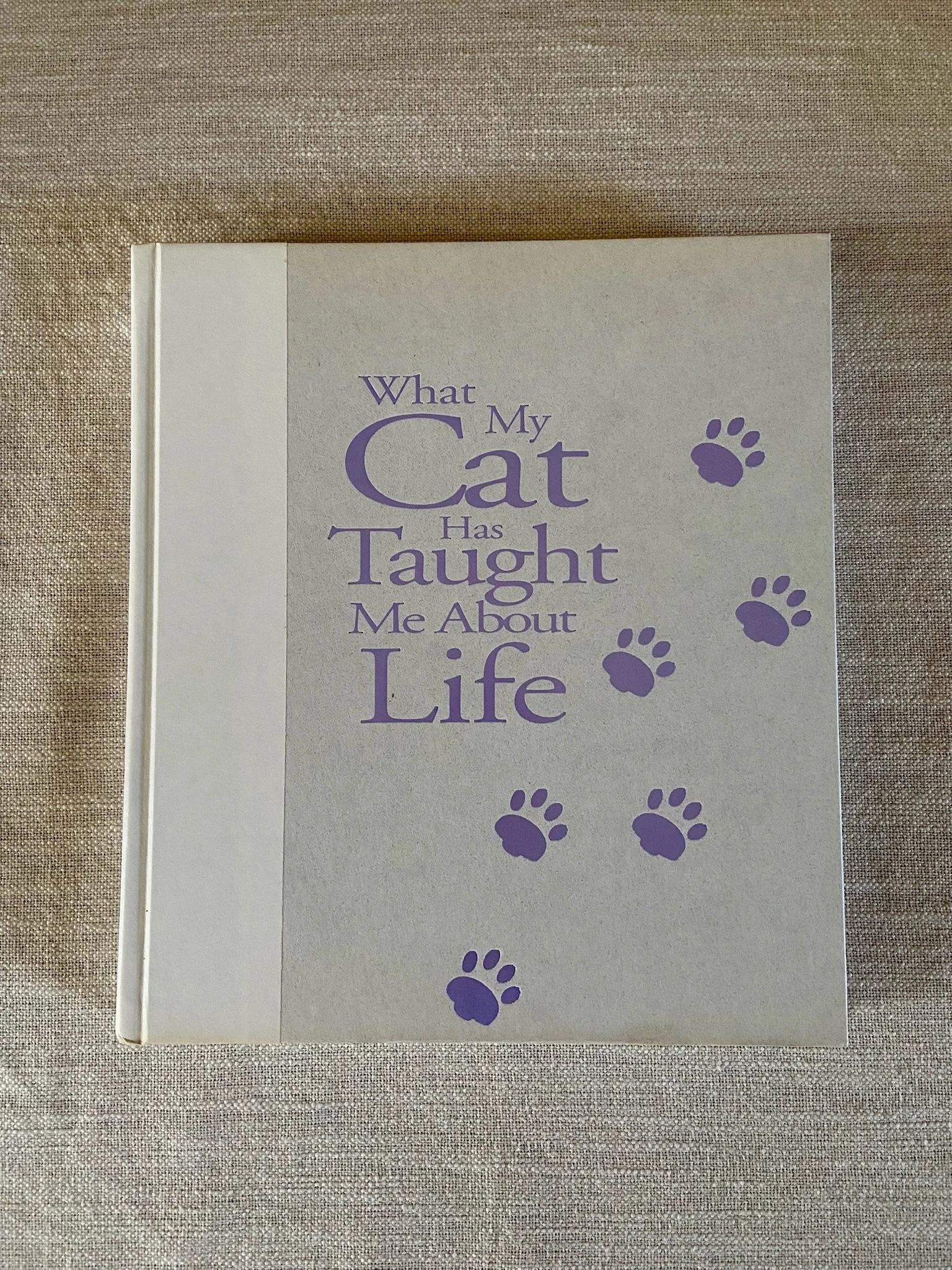 What My Cat Has Taught Me About Life by Niki Anderson