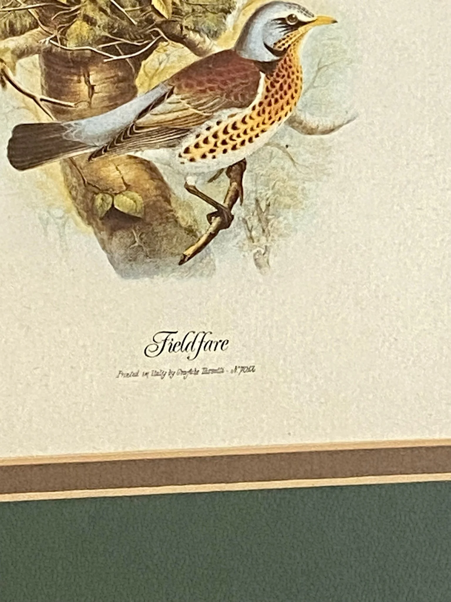 IMG_2985.jpeg