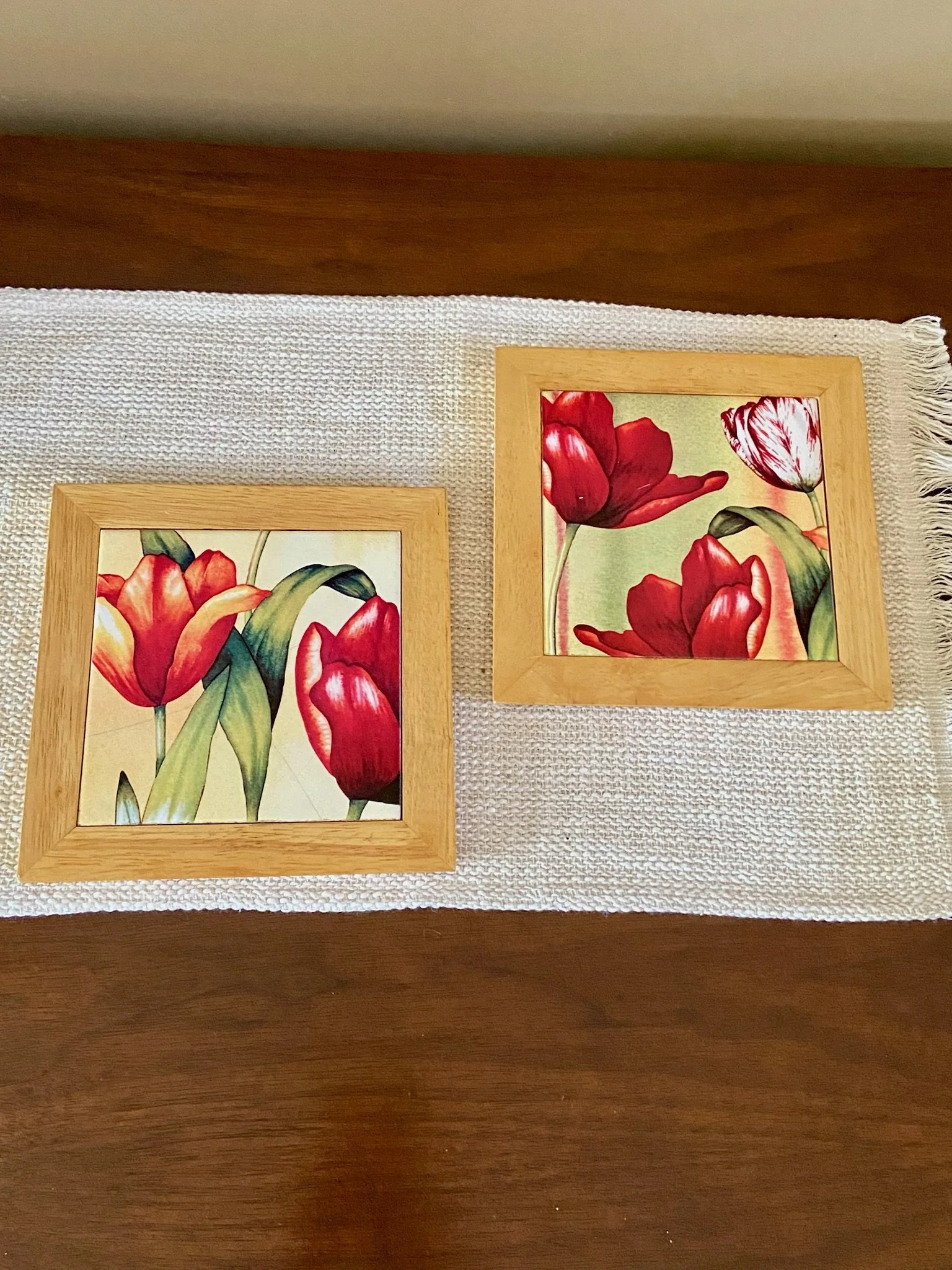 Set of Red Tulip Privets