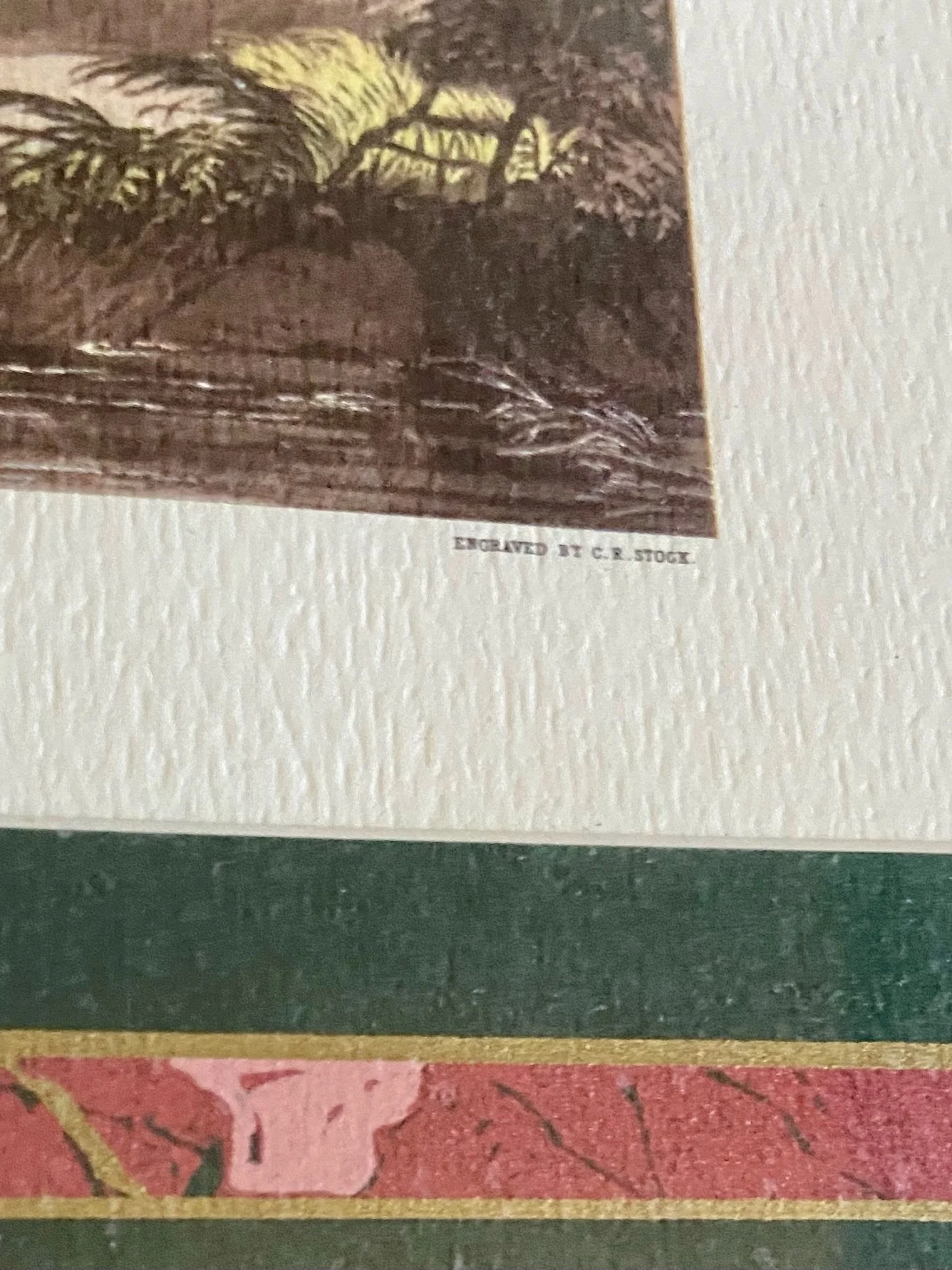 IMG_9770.jpeg